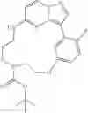 Fig. 97 - Macrocyclic LRRK2 Kinase Inhibitors