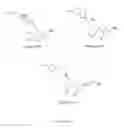 Fig. 39 - Chemokine receptor antagonists and methods of use