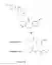 Fig. 47 - Chemokine receptor antagonists and methods of use