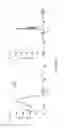 Fig. 02 - Lanthanide complexes comprising at least two betaine groups, which can be used as luminescent markers