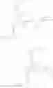 Fig. 42 - Lanthanide complexes comprising at least two betaine groups, which can be used as luminescent markers