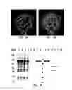 Fig. 03 - Covalent tethering of functional groups to proteins