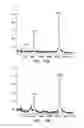 Fig. 08 - Covalent tethering of functional groups to proteins