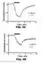 Fig. 04 - Boron cluster compounds and uses thereof