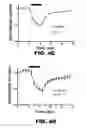 Fig. 05 - Boron cluster compounds and uses thereof