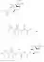 Fig. 20 - BORONATE ESTER COMPOUNDS AND PHARMACEUTICAL COMPOSITIONS THEREOF
