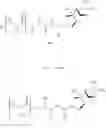 Fig. 22 - BORONATE ESTER COMPOUNDS AND PHARMACEUTICAL COMPOSITIONS THEREOF