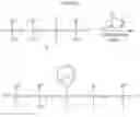 Fig. 12 - High refractive index siloxanes