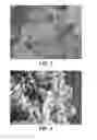 Fig. 03 - METAL ORGANIC FRAMEWORK MATERIALS