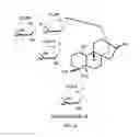 Fig. 05 - METHODS FOR PURIFYING STEVIOL GLYCOSIDES AND USES OF THE SAME