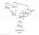 Fig. 07 - METHODS FOR PURIFYING STEVIOL GLYCOSIDES AND USES OF THE SAME