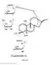 Fig. 11 - METHODS FOR PURIFYING STEVIOL GLYCOSIDES AND USES OF THE SAME