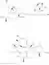 Fig. 35 - AZITHROMYCIN ANTIMICROBIAL DERIVATIVES WITH NON-ANTIBIOTIC PHARMACEUTICAL EFFECT