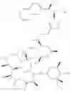 Fig. 205 - Triazole Compounds and Methods of Making and Using the Same