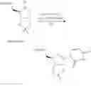 Fig. 14 - Ribonucleic acids with 4′-thio-modified nucleotides and related methods