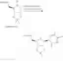 Fig. 17 - Ribonucleic acids with 4′-thio-modified nucleotides and related methods