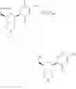 Fig. 19 - Ribonucleic acids with 4′-thio-modified nucleotides and related methods