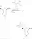 Fig. 21 - Ribonucleic acids with 4′-thio-modified nucleotides and related methods