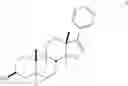 Fig. 24 - Inhibitors of CYP17A1