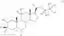 Fig. 04 - NEUROACTIVE STEROIDS AND METHODS OF USE THEREOF