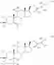 Fig. 10 - NEUROACTIVE STEROIDS AND METHODS OF USE THEREOF