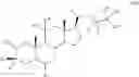 Fig. 12 - NEUROACTIVE STEROIDS AND METHODS OF USE THEREOF