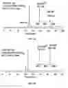 Fig. 06 - Solid phase peptide synthesis processes and associated systems