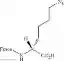 Fig. 56 - Triazole macrocycle systems