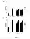 Fig. 04 - NEURAL REGENERATION PEPTIDES AND USES THEREFOR