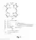 Fig. 02 - TARGETING PEPTIDES THAT BIND S. MUTANS, CONSTRUCTS COMPRISING SUCH PEPTIDES AND USES THEREOF
