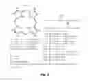 Fig. 03 - TARGETING PEPTIDES THAT BIND S. MUTANS, CONSTRUCTS COMPRISING SUCH PEPTIDES AND USES THEREOF