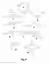 Fig. 08 - TARGETING PEPTIDES THAT BIND S. MUTANS, CONSTRUCTS COMPRISING SUCH PEPTIDES AND USES THEREOF