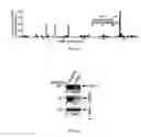 Fig. 44 - MATERIALS AND METHOD FOR SUPPRESSING INFLAMMATORY AND NEUROPATHIC PAIN
