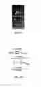 Fig. 49 - MATERIALS AND METHOD FOR SUPPRESSING INFLAMMATORY AND NEUROPATHIC PAIN