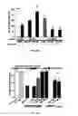 Fig. 58 - MATERIALS AND METHOD FOR SUPPRESSING INFLAMMATORY AND NEUROPATHIC PAIN
