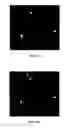 Fig. 63 - MATERIALS AND METHOD FOR SUPPRESSING INFLAMMATORY AND NEUROPATHIC PAIN