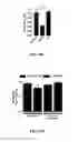 Fig. 68 - MATERIALS AND METHOD FOR SUPPRESSING INFLAMMATORY AND NEUROPATHIC PAIN