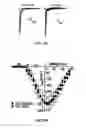 Fig. 69 - MATERIALS AND METHOD FOR SUPPRESSING INFLAMMATORY AND NEUROPATHIC PAIN