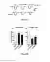 Fig. 77 - MATERIALS AND METHOD FOR SUPPRESSING INFLAMMATORY AND NEUROPATHIC PAIN