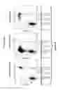 Fig. 09 - MULTI-EPITOPIC VACCINE