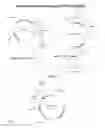 Fig. 10 - Recombinantly expressed plasmodium CelTOS antigen and methods of use thereof