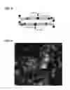 Fig. 03 - Water buffalo derived dimeric peptide containing proline for antibiotic therapies