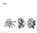Fig. 05 - Water buffalo derived dimeric peptide containing proline for antibiotic therapies