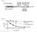 Fig. 02 - METHODS AND COMPOSITIONS USEFUL IN MANIPULATING THE STABILITY OF RE1 SILENCING TRANSCRIPTION FACTOR