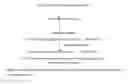 Fig. 06 - SOLID PHASE PEPTIDE SYNTHESIS OF INSULIN USING SIDE CHAIN ACHORED LYSINE