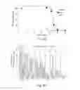 Fig. 07 - Mutant proteins and methods for their production