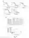Fig. 09 - Mutant proteins and methods for their production