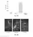 Fig. 10 - Mutant proteins and methods for their production