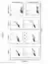 Fig. 46 - Polypeptides