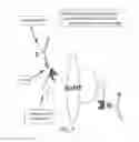 Fig. 16 - Methods and compositions with a recombinant neutralizing binding protein for treating toxin exposure
